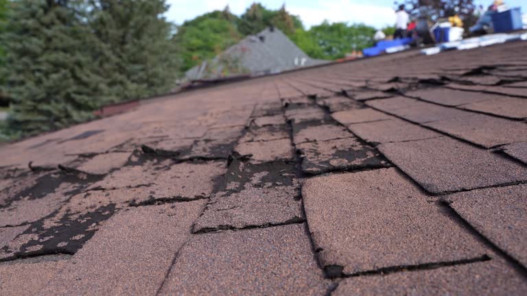 Best Roof Leak Repair  in Hlside, IL