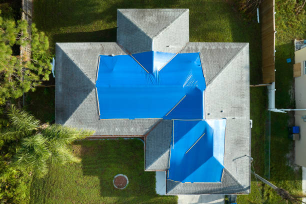 Best Roof Maintenance and Cleaning  in Hlside, IL