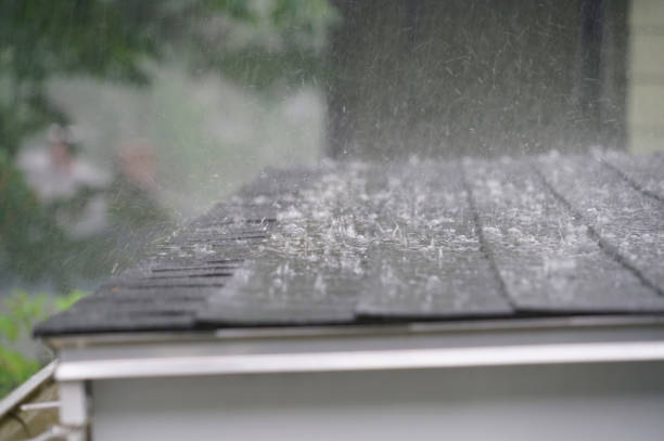 Best Roof Leak Repair  in Hlside, IL