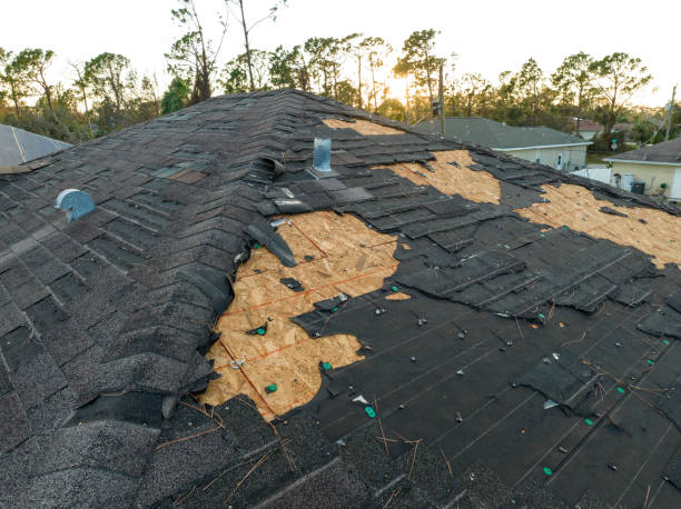 Best Roof Coating and Sealing  in Hlside, IL